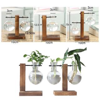 Benytro thủy tinh trồng cây kiểu dáng vintage độc đáo