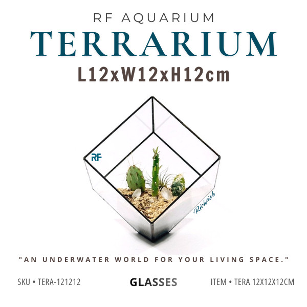 Bể Terrarium 12x12x12cm
