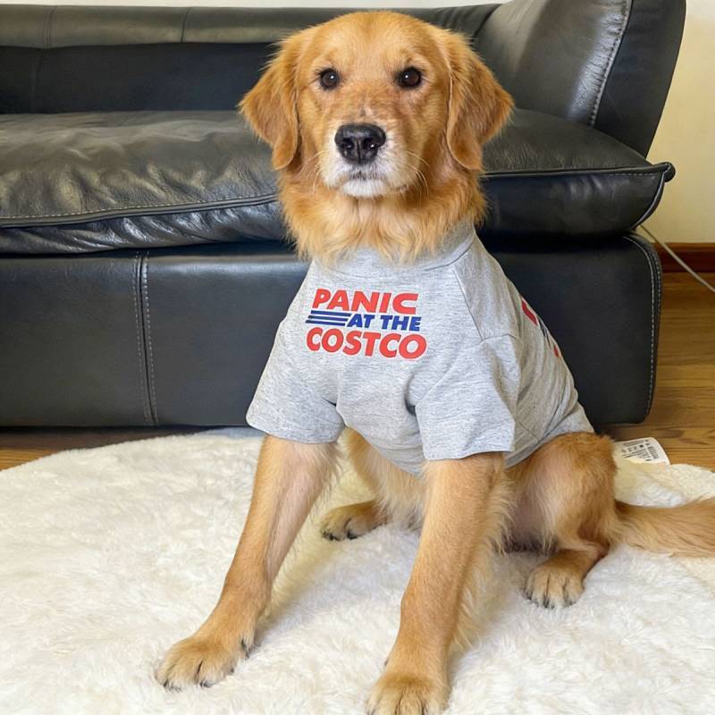 Big Dog Thin Clothes Border Collie Golden Retriever Samo Clothes Dog Clothes Large Dog Funny Cute Cl