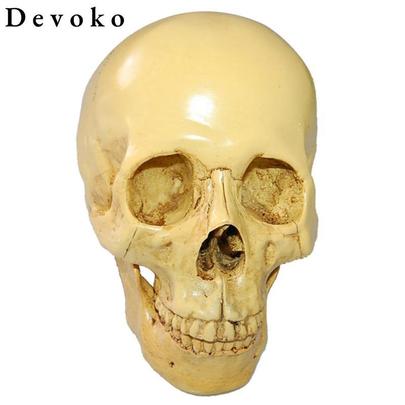 Devoko Design Resin Human Skull 1: 1 Bản sao thực tế Mô hình đầu bộ xương