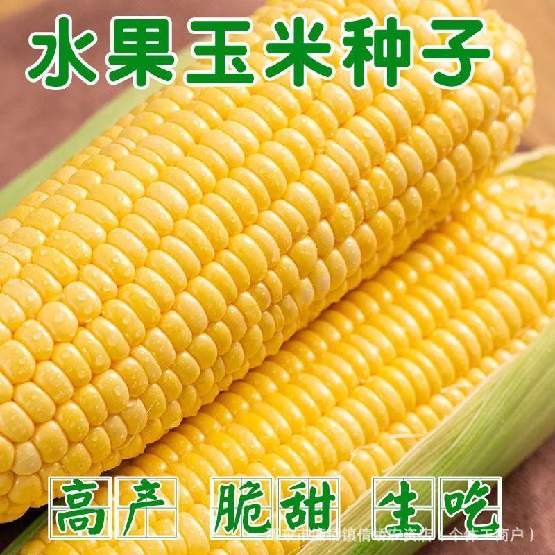 Hạt Ngô Ngọt Daejeon - Vị Giòn Tươi, Thơm Ngon Toàn Mùa