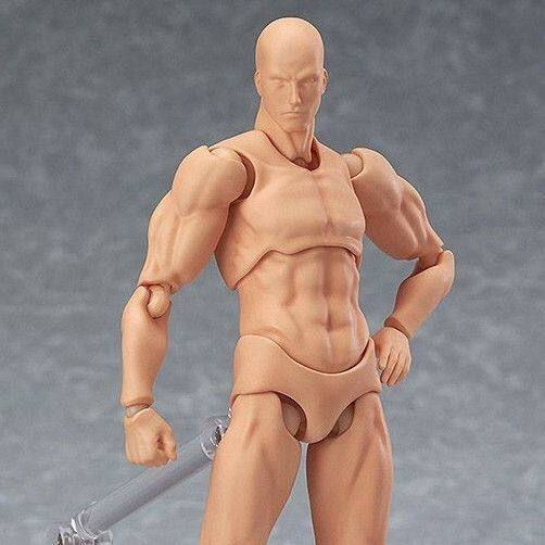 2.0 Cơ Thể Công Thái Học Mô Hình Sinh Viên Nghệ Thuật Tranh Tham khảo Nam Nữ Đồ Trang Trí figma Khớp