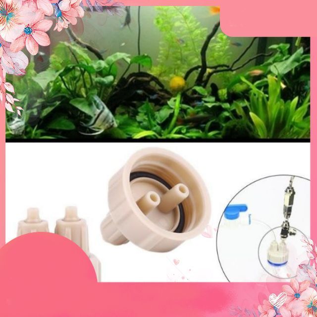 Nắp chế CO2 | DIY CO2 - Nắp chế bình CO2 cho bể cá thuỷ sinh .namaquatic