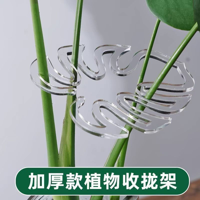 TB Spot Goods#Monstera Support Rod Flower Support Frame Branch Gathering Frame Plant Anti-Toppling B