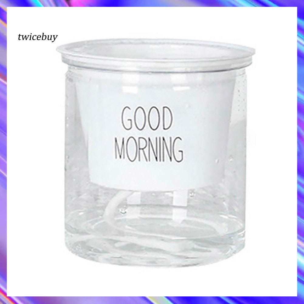 [TY] 2 Bộ Chậu hoa tự tưới nước hai tầng Epipremnum Aureum Trang trí nội thất