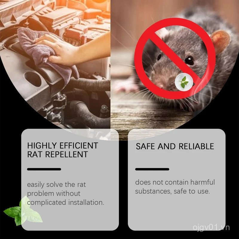 Xịt đuổi chuột trên ô tô - Công thức nhẹ nhàng để tẩy tế bào gặm nhấm hiệu quả trong động cơ IGFJ