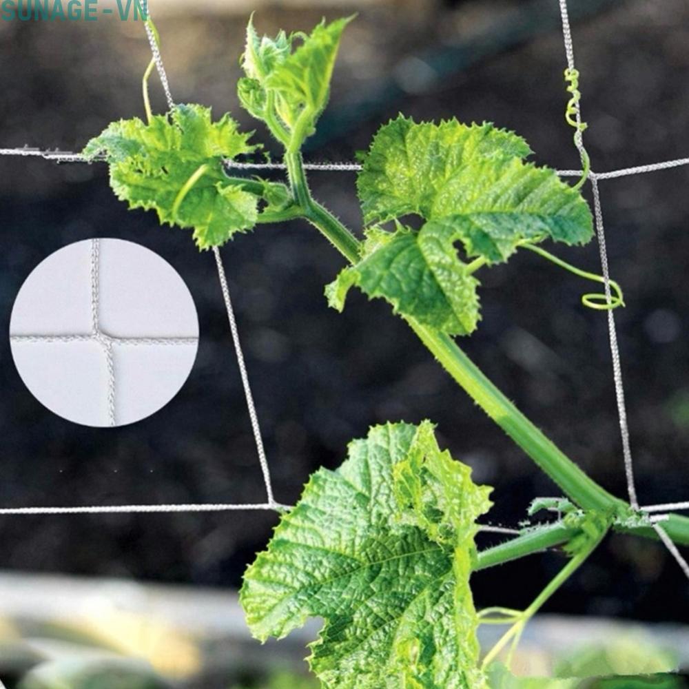 【SUNAGE】Climbing Net Trellis Net Spare Parts Trellis Netting Wine Crops Accessories【HOT Fashion】
