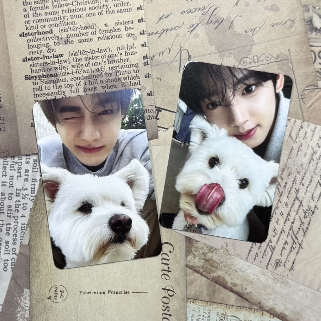 Hàng sẵn có zb1 Regular One Group Seal Puppy Card Day Korea Weichen Puppy Card Hao Puppy Card Hao Pu