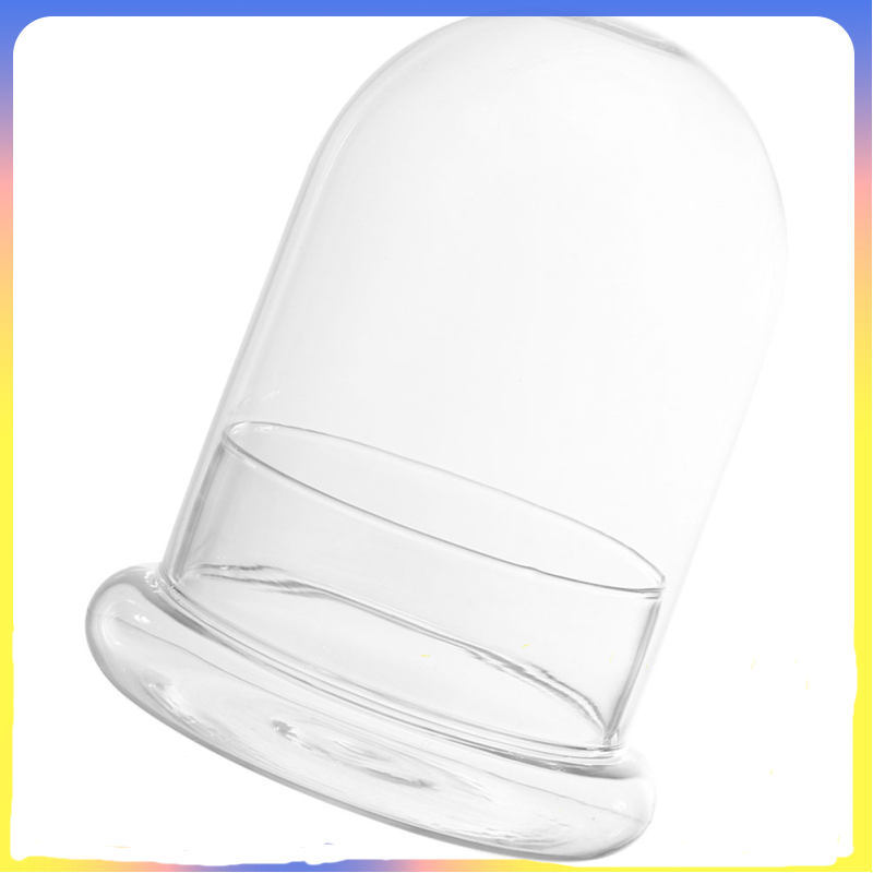 Kính trong suốt Dome Cloche Glass Plant Container Bell Jar để lưu trữ trang trí chuangxzh