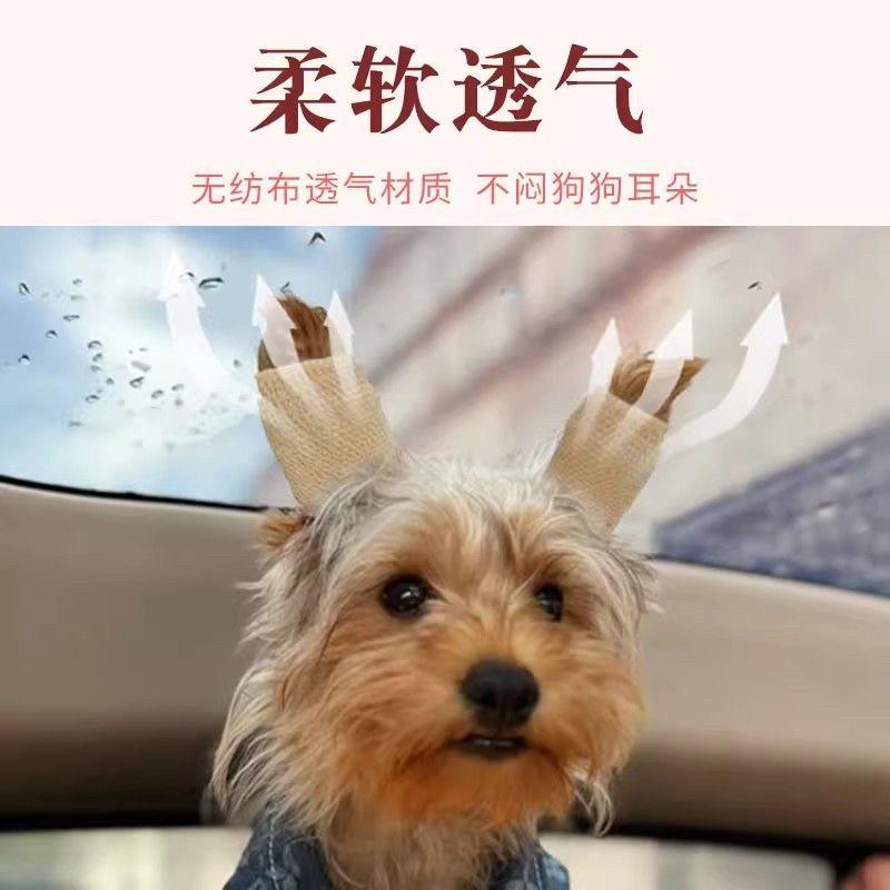 Chó Tai Đứng Chó Con Tai Đứng Chó Con Tai Đứng Tai Đứng Tai Dính Chó Con Đứng Tai Hỗ Trợ Tai Không K