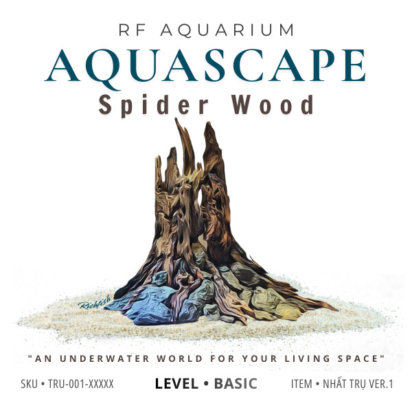 Layout Nhất Trụ Ver.1 l Aquascape Thủy Sinh Đa Dạng Kích Thước Được Chế Tác Thủ Công | RF Aquarium