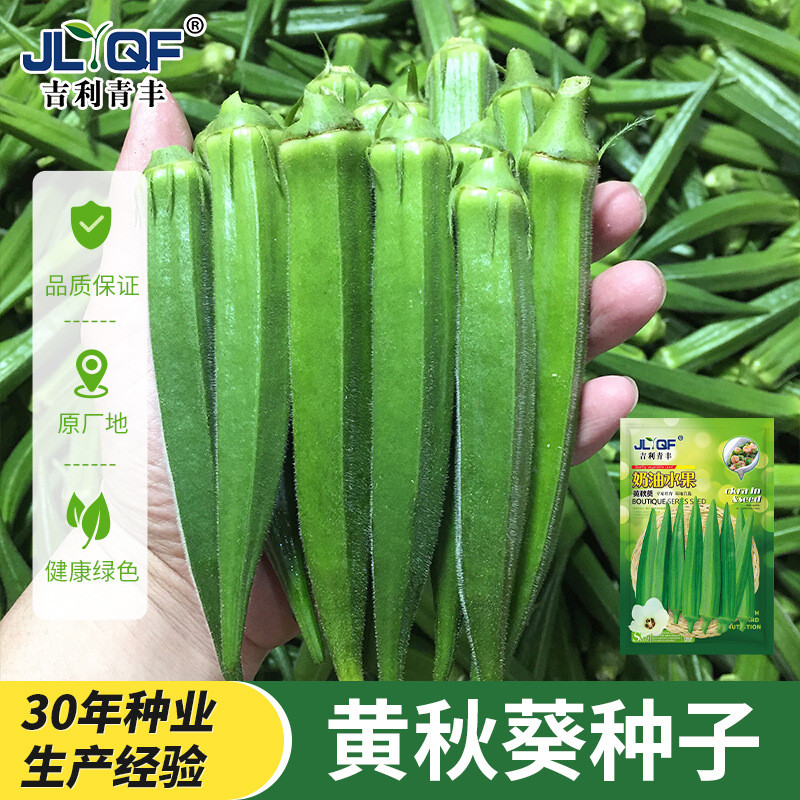 Hạt Okra Vàng Đỏ Okra Cả Năm Hạt Okra Xanh Sản Xuất Cao Cấp Hạt Giống Okara Bắc Nam Ban Công Hạt Giố