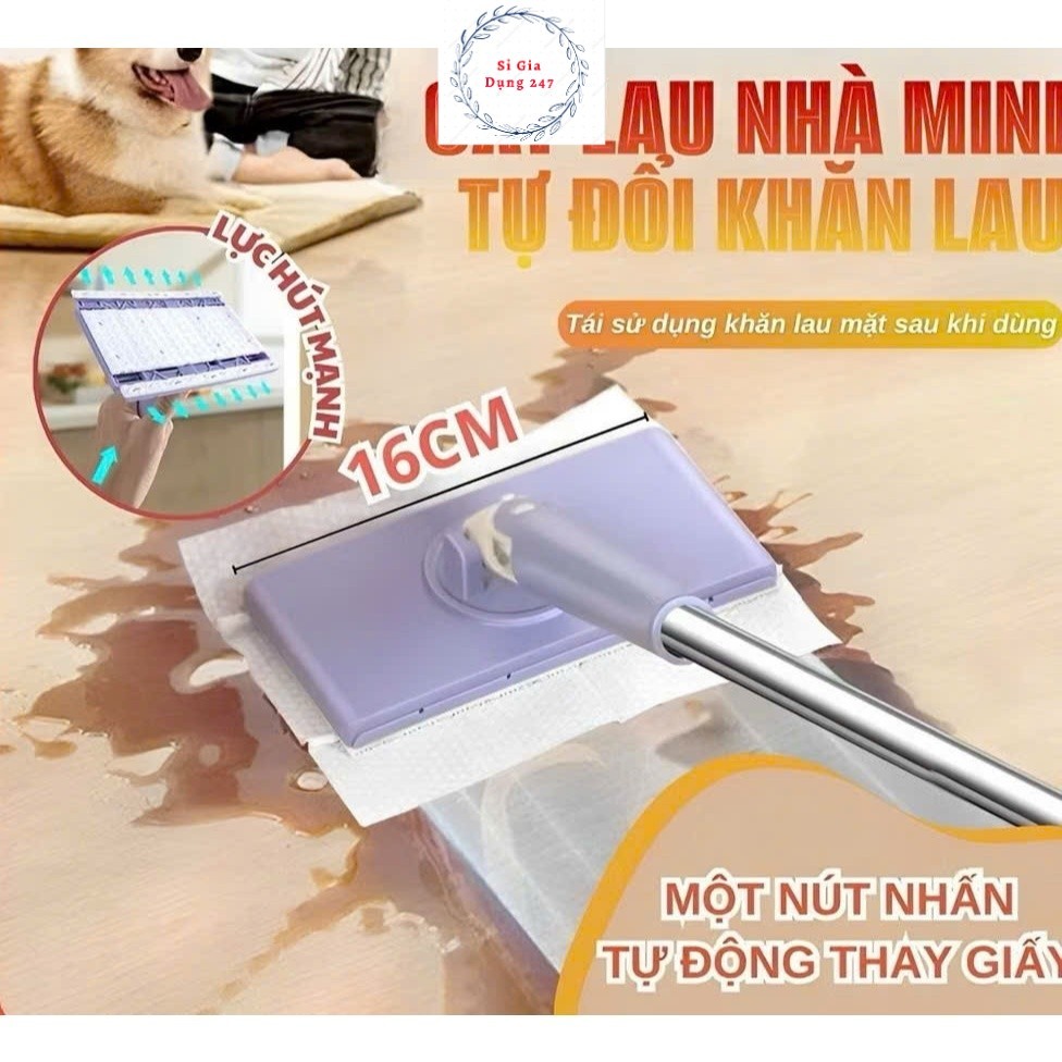 Gợi ý cây lau nhà mini phù hợp cho nhiều phong cách khác nhau