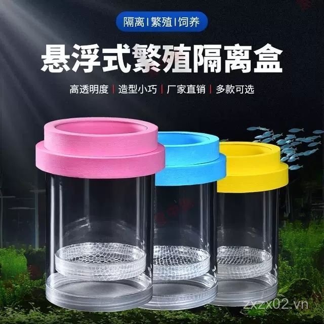 Guppy Breeding Can Fish Tank Isolation Box Nữ Fish Delivery Room Set Hộp ấp thử nghiệm nổi