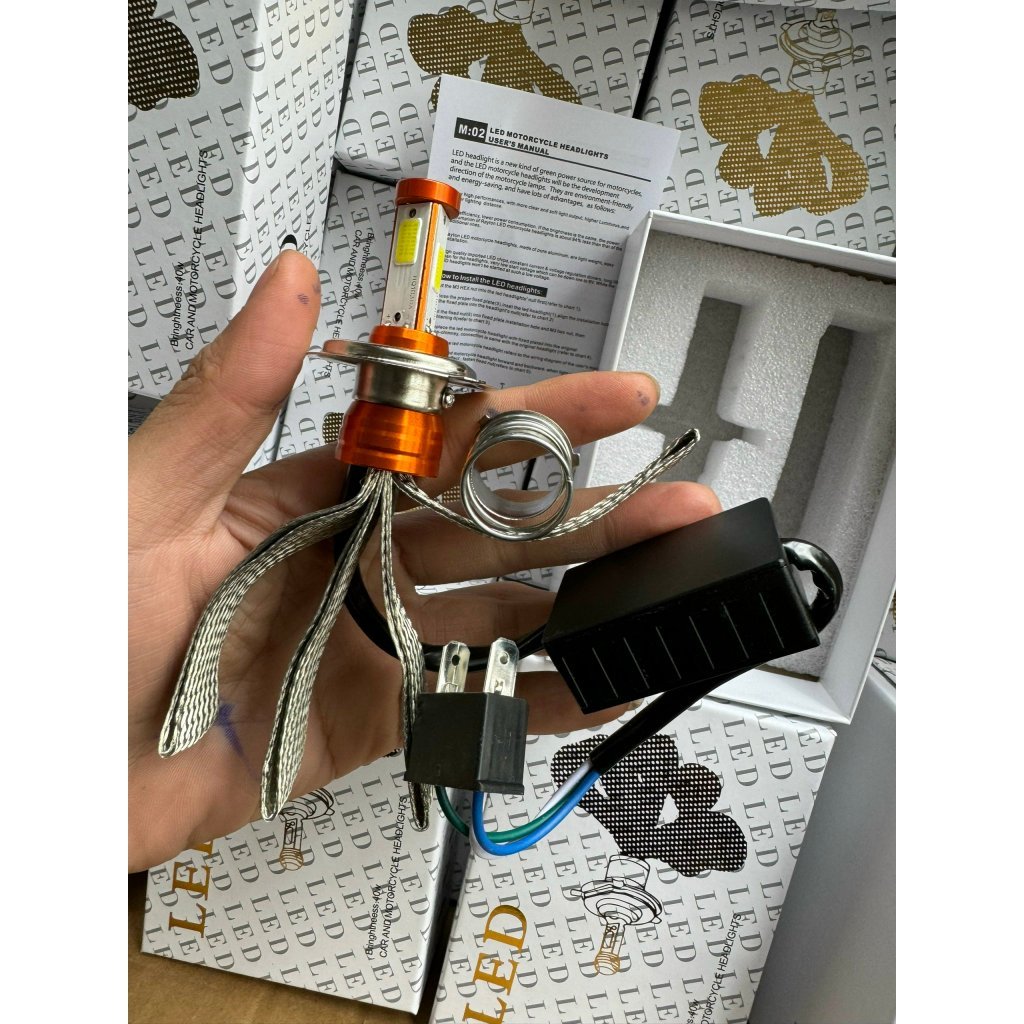 bóng led hộp trắng 2 tim & 3 tim BL77