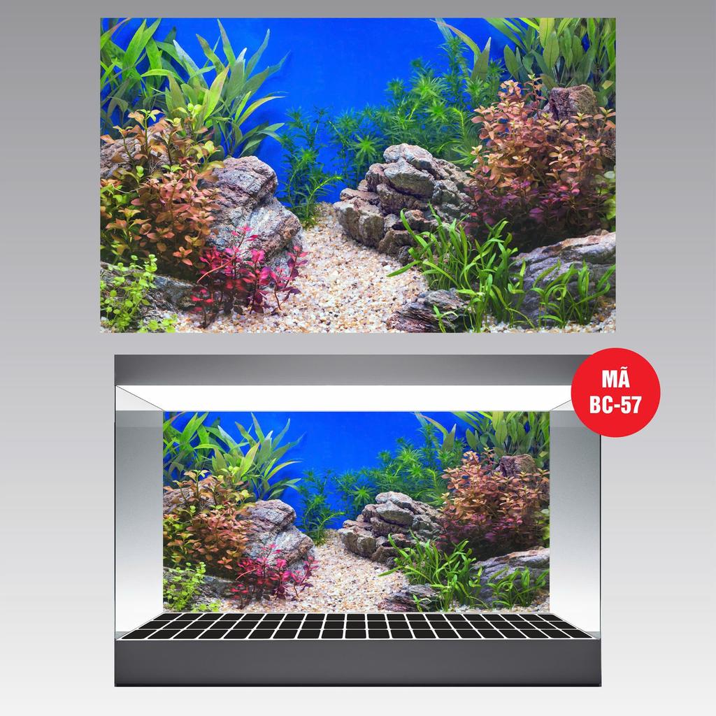 (BC57) TRANH 3D DÁN HỒ CÁ ( TRANH LƯNG ) _DECAL VIP_MT 57