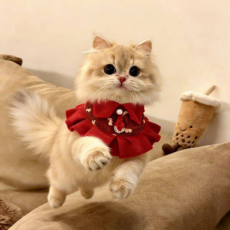 New Year Dog Cat Bib New Year Clothes Festive Atmosphere Decoration Photo Production Scarf qNR9