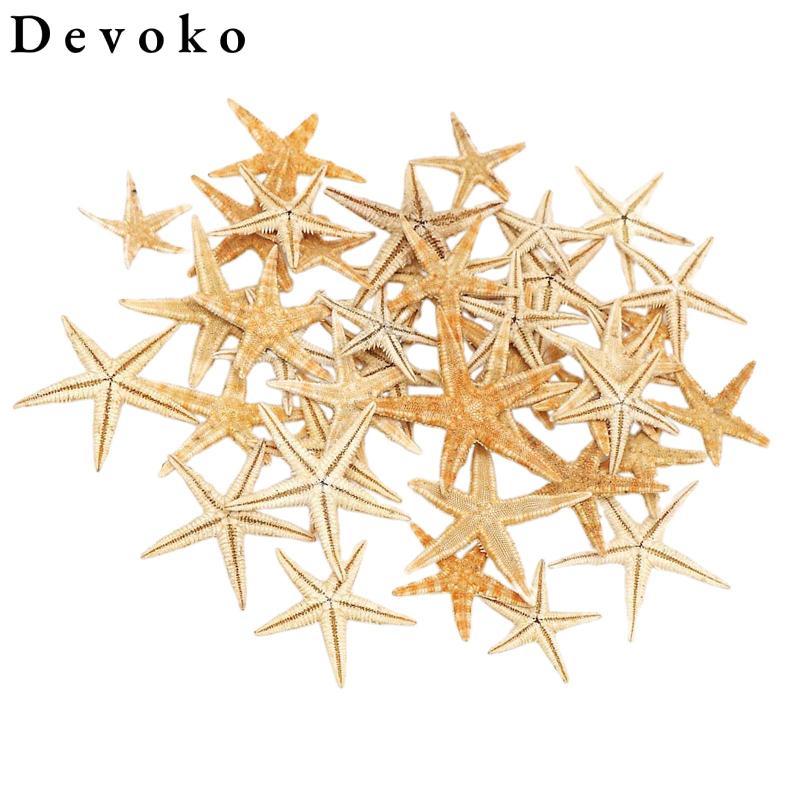 Trang trí mini tự nhiên sao biển handmade cho bãi biển, cottage và cưới