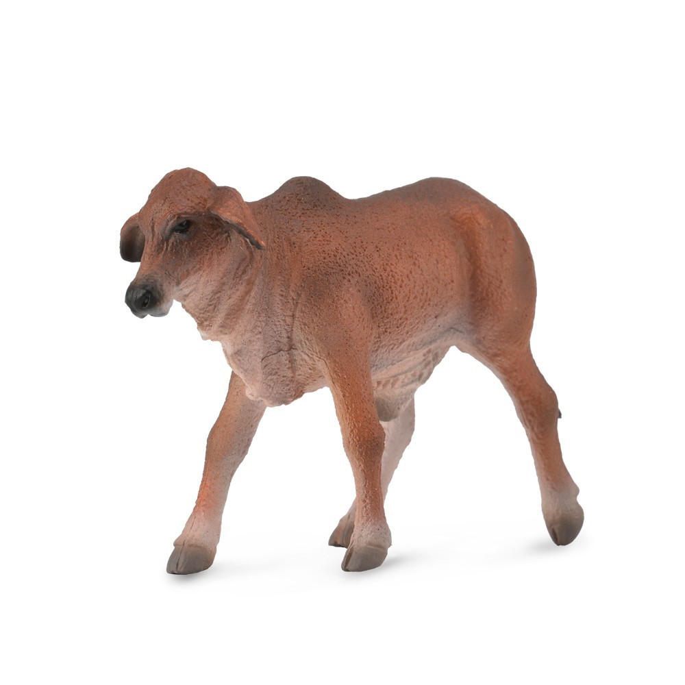 Collecta Farm Life Model 88601 Red Brahman Calf Hình Đồ Chơi