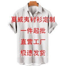 Hawaiian Shirt 3D In Áo Sơ Mi Tay Ngắn - Phù Hợp Mặc Đi Biển