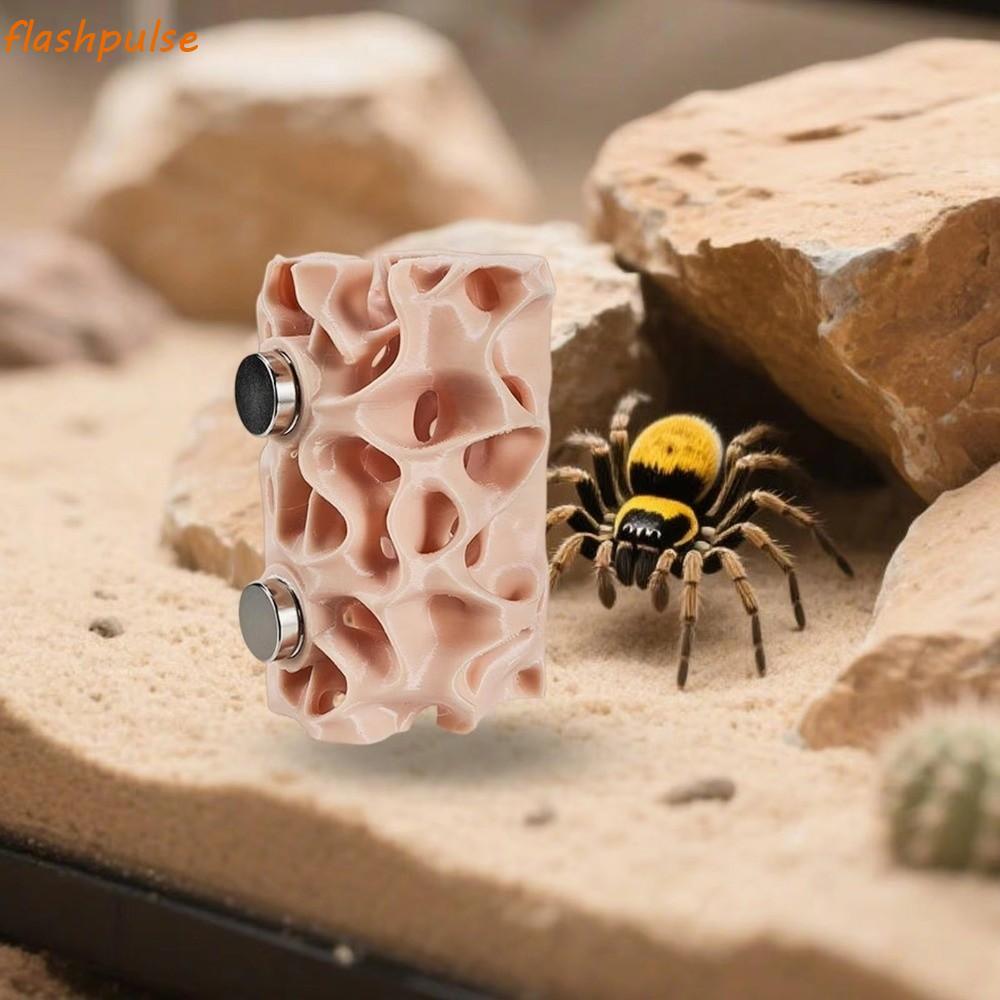FLASHPULSE Jumping Spider Habitat, Cấu trúc thông gió Nơi trú ẩn bò sát sáng tạo, Ẩn thú cưng Đường 