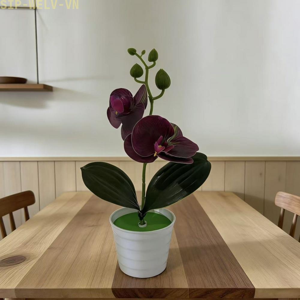 {WELV}Artificial Plastic Phalaenopsis Orchid Potted Plant Home Decor Fake Flower