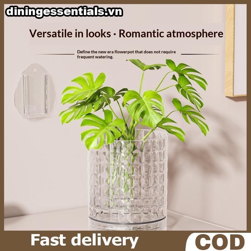 DN Nhựa Thủy Canh Treo Tường Tự Dính Hai Lớp Treo Tường Chậu Trang Trí Tiết Kiệm Không Gian Treo Tườ