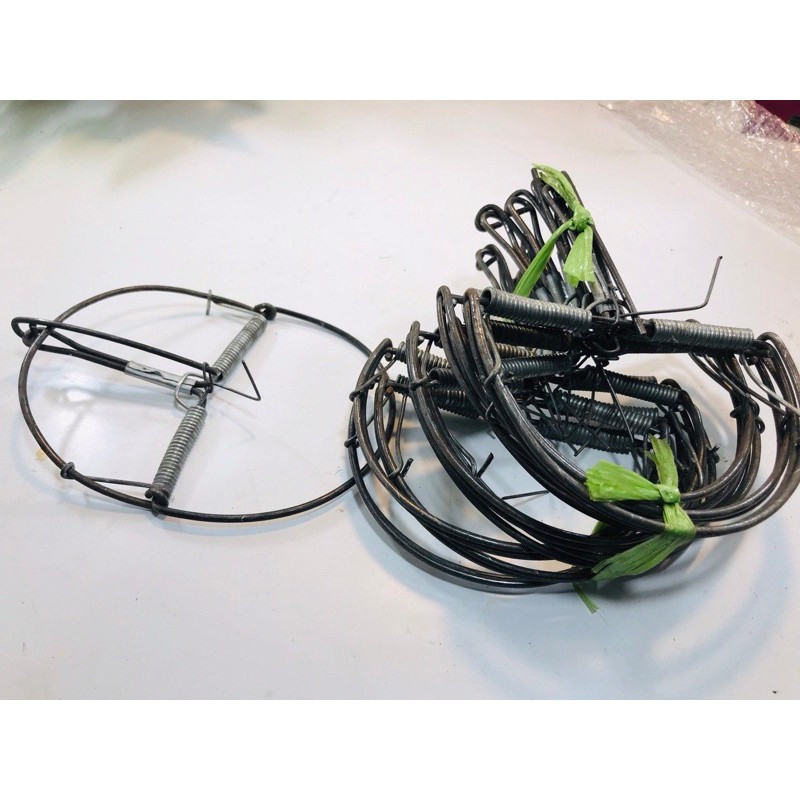 Combo 10 Cạm Chuột Bán Nguyệt Đường Kính 13cm Kẹp Diệt Chuột Bẫy Chuột Hiệu Quả