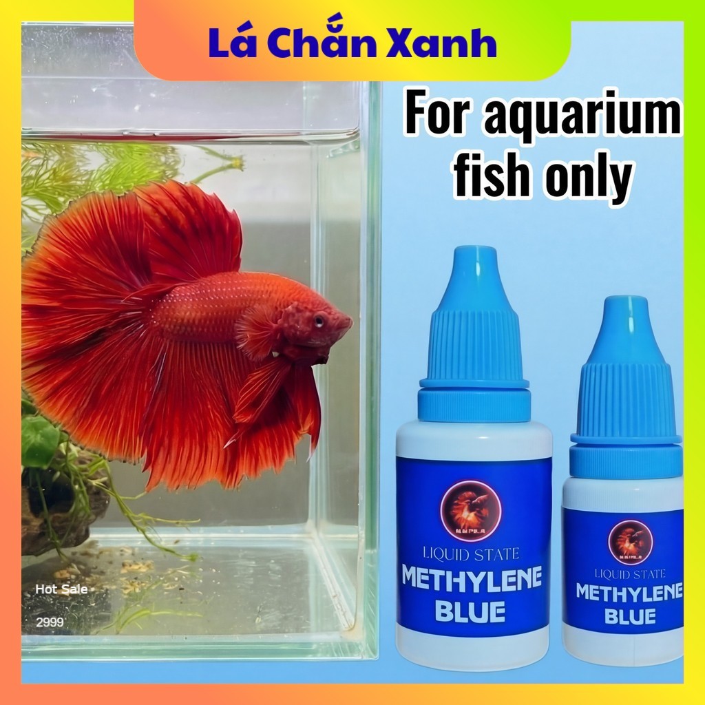Chai Xanh Methylene Cho Cá Cảnh - Xử Lý Các Vấn Đề Ngoài Da