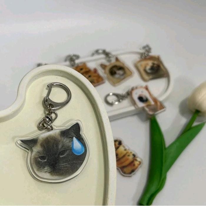 [TCS] Gantungan Akrilik Gambar Meme Kucing Anjing Untuk Kunci Tas - A