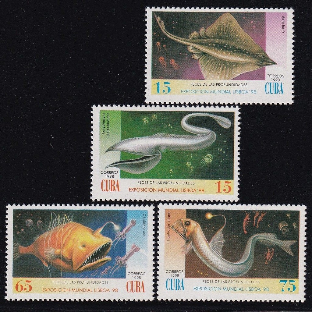 Cuba 1998 Biển Sâu Mullet Pelican Eel Mullet Saury Jellyfish Mực Tôm Tem 4 Full / 302