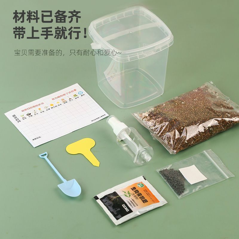 Trồng Cây Trong Chậu Trẻ Em Học Sinh Tiểu Học Trong Suốt Quan Sát Thực Vật Tăng Trưởng Hoa Hướng Dươ