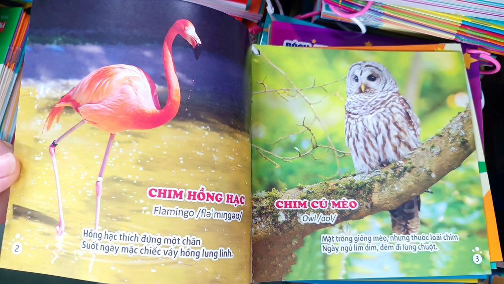 sg-11134202-22100-3wvoj5yrsviv76