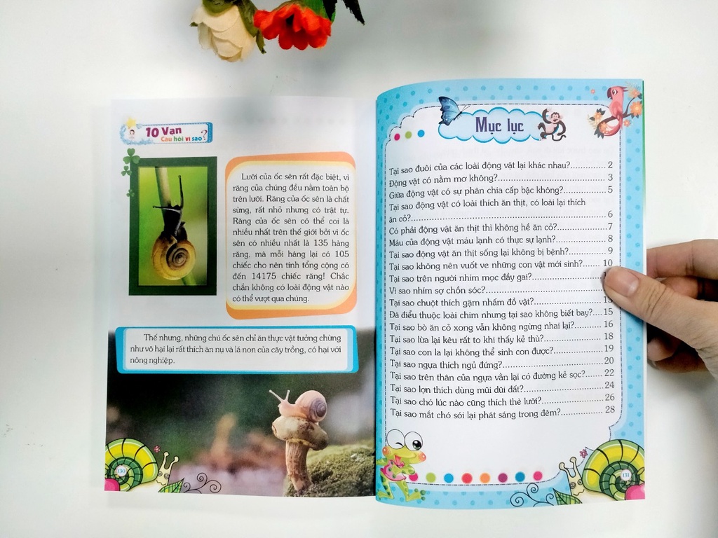 sg-11134202-22100-6ruvxrvm13iv33