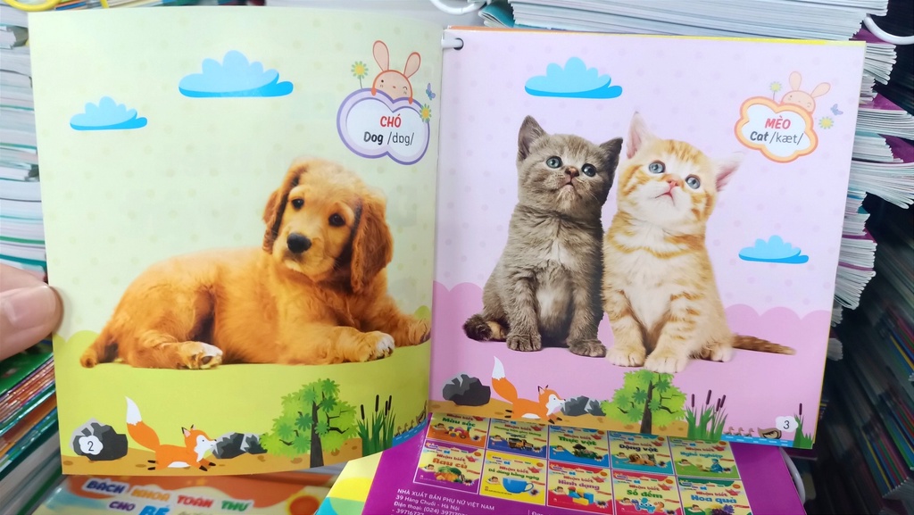 sg-11134202-22100-a81hw2srsviv57