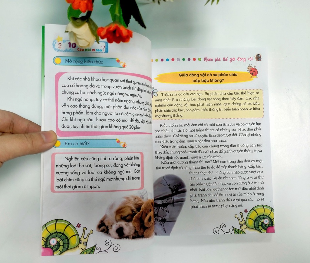 sg-11134202-22100-pbr0nokm13ive9