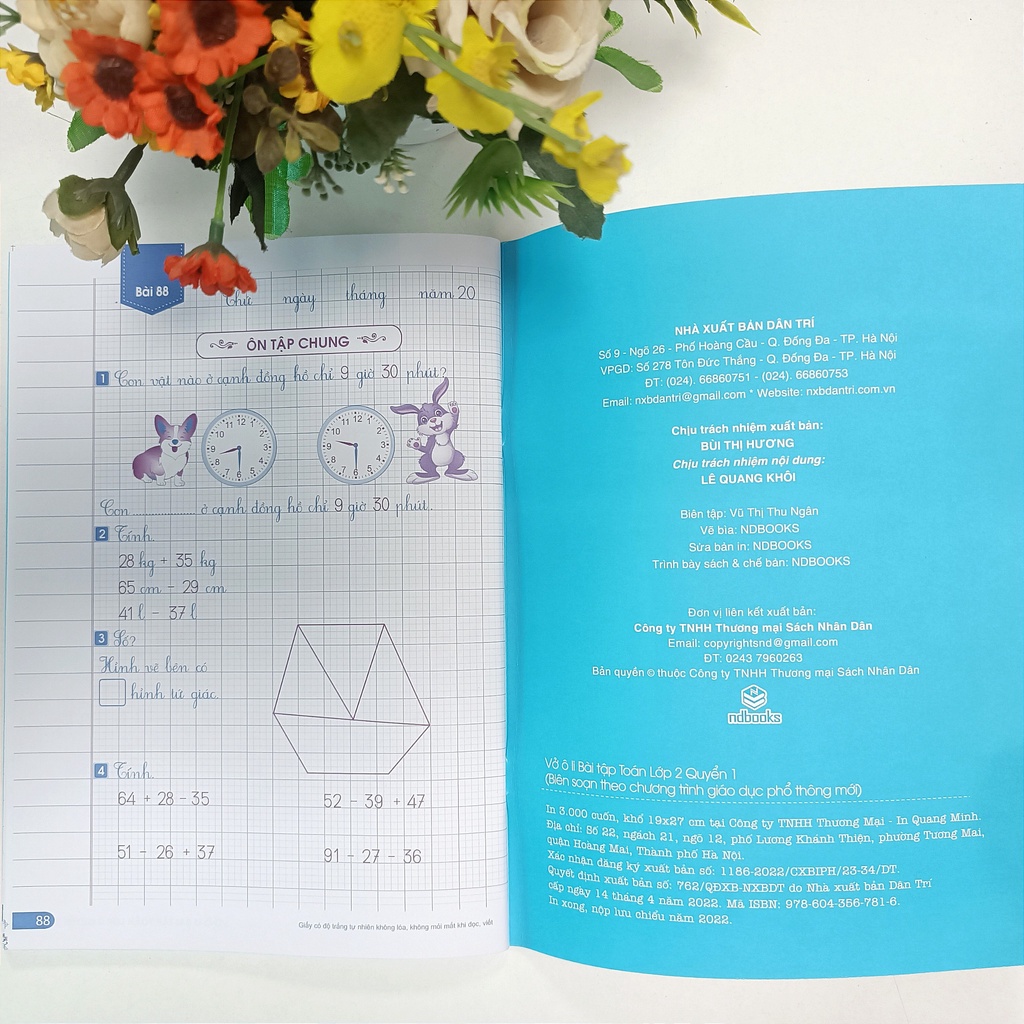 sg-11134202-22100-y0igpvlir8hv29