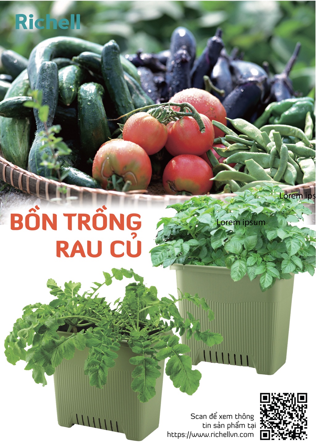 sg-11134202-22110-64j400e1lpjv9d