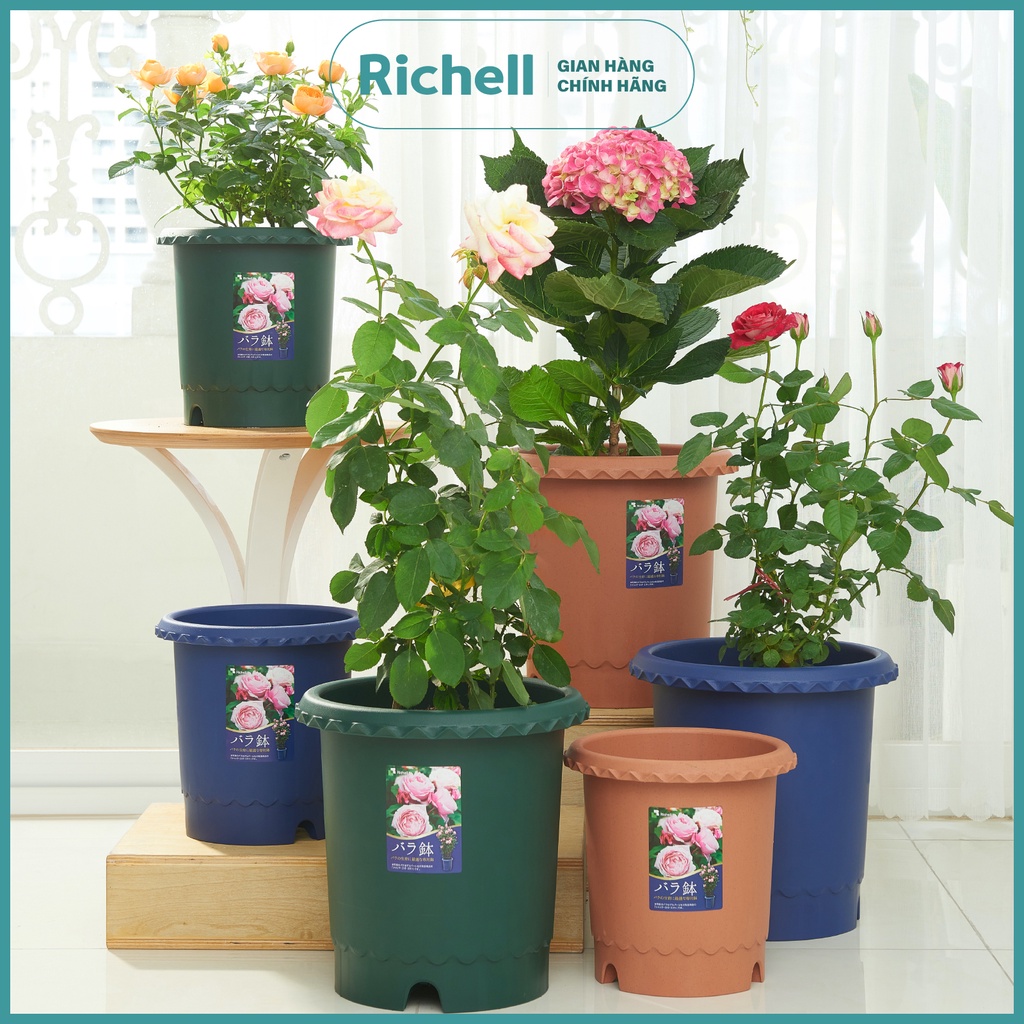 sg-11134202-22110-i0zk3wpxppjv9d