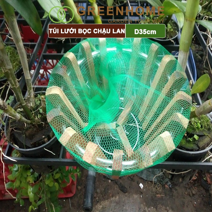 sg-11134202-22110-zdq54xs8bojv5a