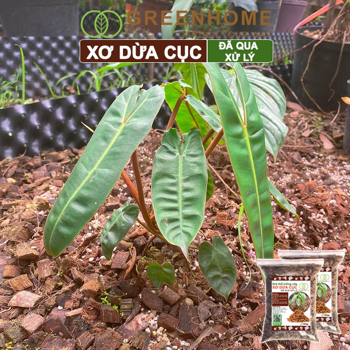 sg-11134202-22120-ky1muqs7j0kv95