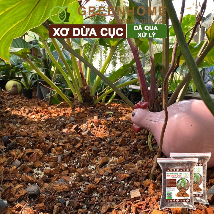 sg-11134202-22120-lro2umq8j0kve4