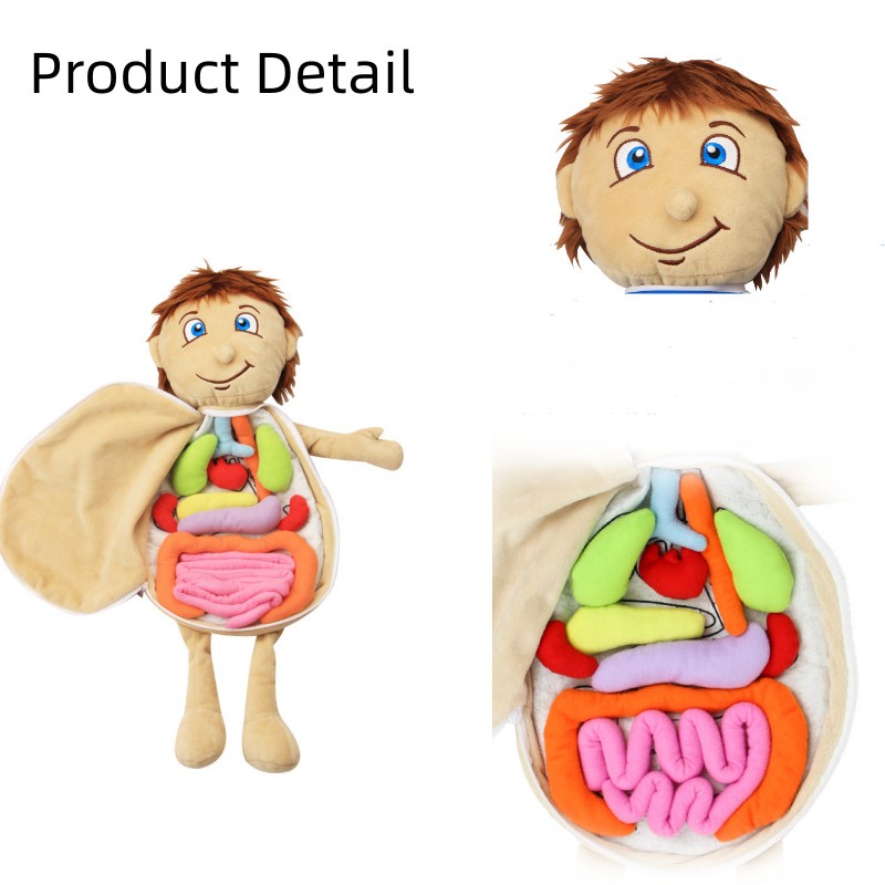 Bộ Đồ Chơi Lắp Ráp Cấu Trúc Cơ Thể Tương Tác Cho Ba Mẹ Và Bé