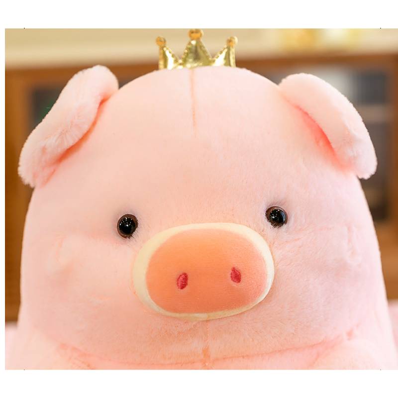 Heo Nhồi Bông 30cm Dễ Thương Dành Cho Bé