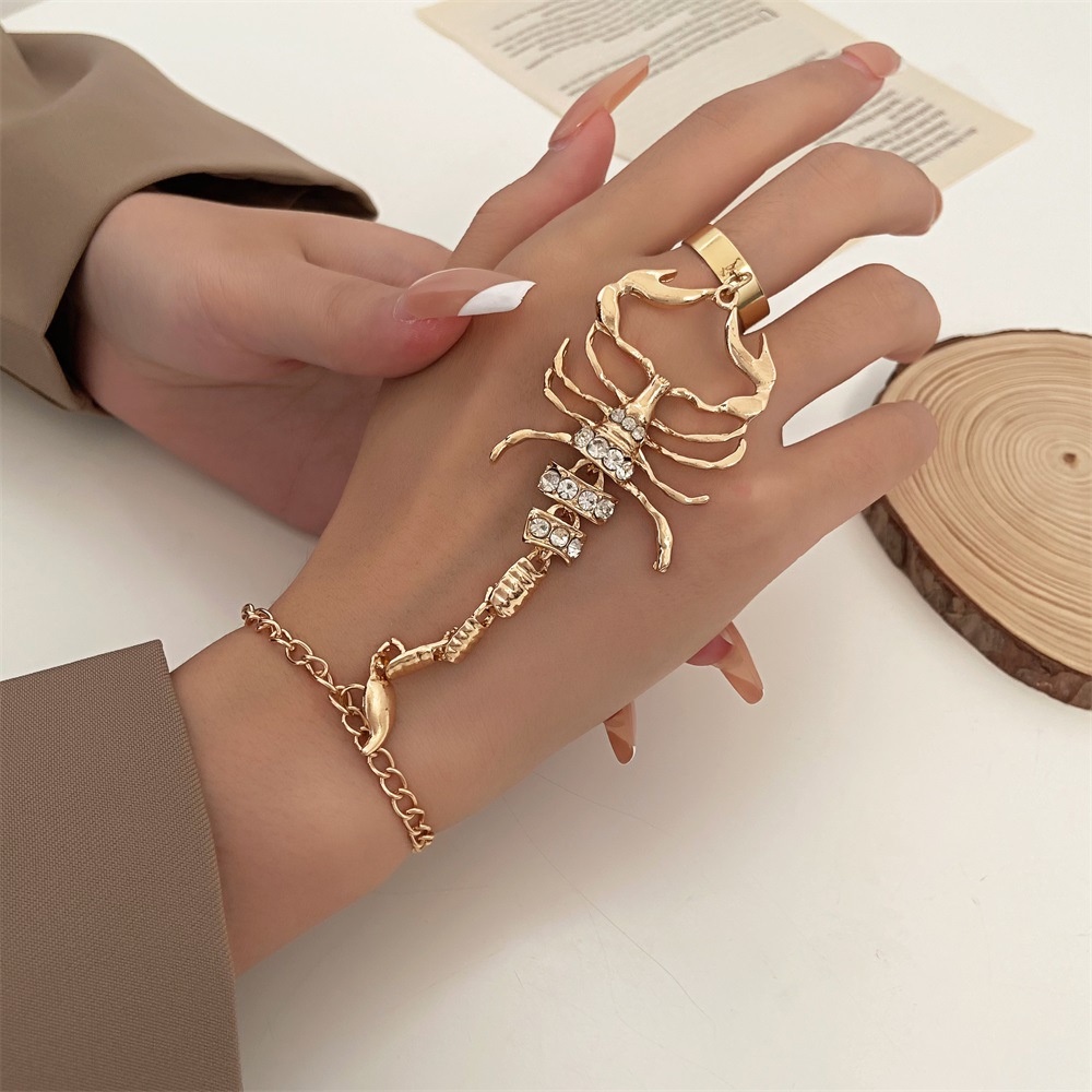 Bộ Trang Sức Nhẫn Và Vòng Đeo Tay Dạng Chuỗi Xích Nối Nhẫn Hình Bọ Cạp Gothic 2023 Cho Nữ