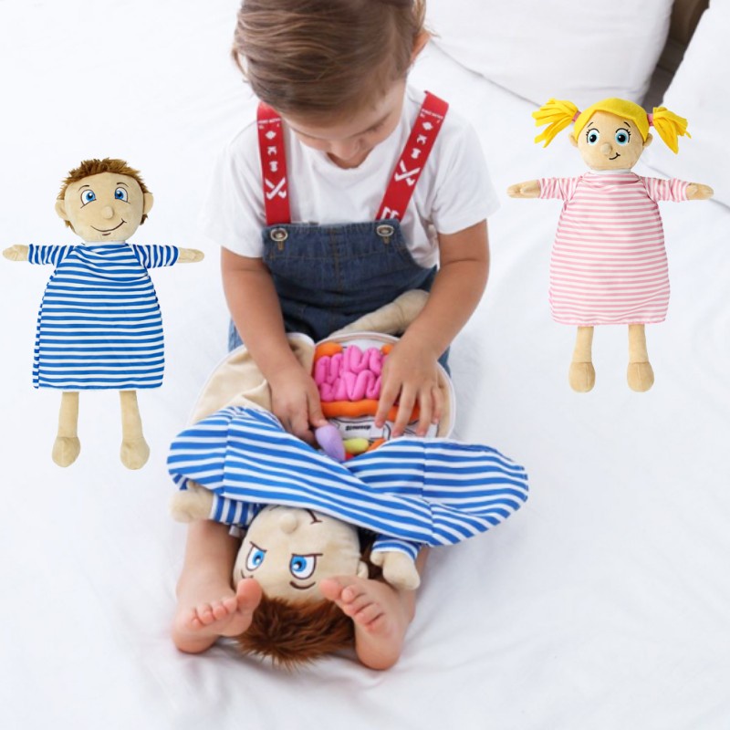 Đồ Chơi Lắp Ráp Cơ Thể Người Bằng Vải Lông Hỗ Trợ Giáo Dục Sớm