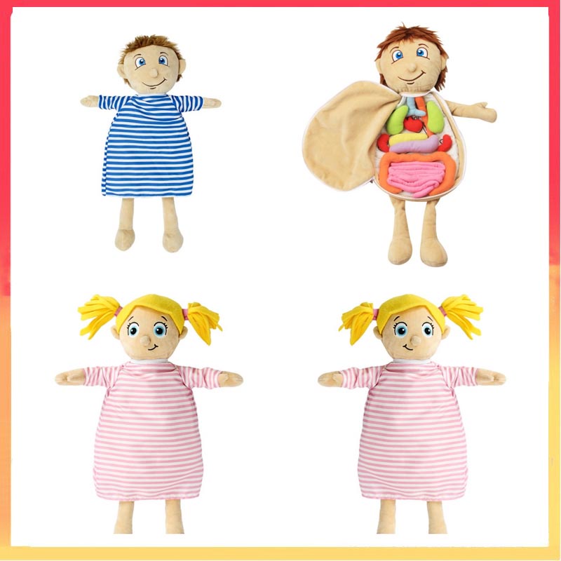 Đồ Chơi Organ Cấu Trúc Cơ Thể Người 48cm Nhồi Bông Giáo Dục Sớm Cho Bé