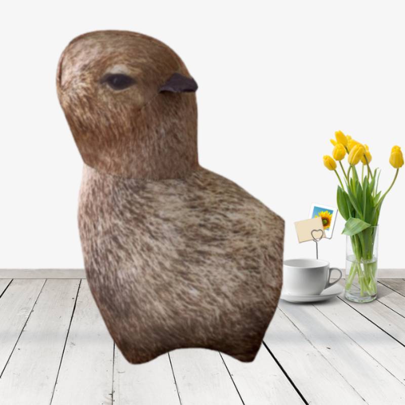Đồ chơi nhồi bông Capybara Rodent Kèm Phụ Kiện