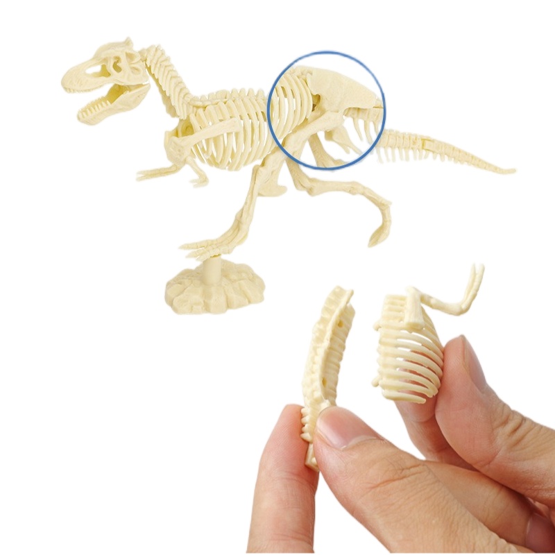 Mới Bộ Đồ Chơi Đào Đất Sét Khủng Long Cho Bé