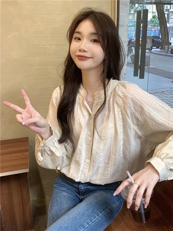 Áo Sơ Mi Dài Tay Cổ Tròn Thêu Họa Tiết Với Thiết Kế Dáng Rộng Xinh Xắn Dành Cho Nữ 6